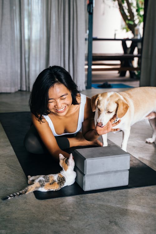 Yoga with fluffy friends