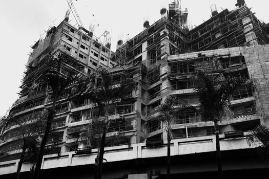 Dramatic black and white photo of a building under construction with palm trees.