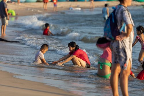 Free A joyful beach scene with families enjoying the waves and sand, perfect for summer fun. Stock Photo