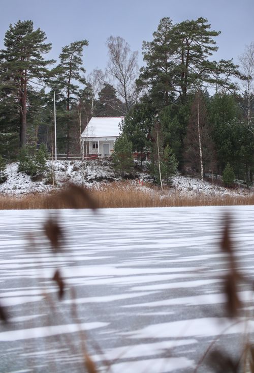 Free A serene winter scene featuring a cabin surrounded by snow-covered trees beside a frozen lake. Stock Photo