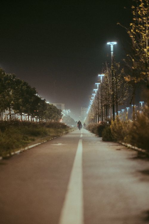 Free Atmospheric urban night shot featuring a solitary cyclist on a lit path. Stock Photo