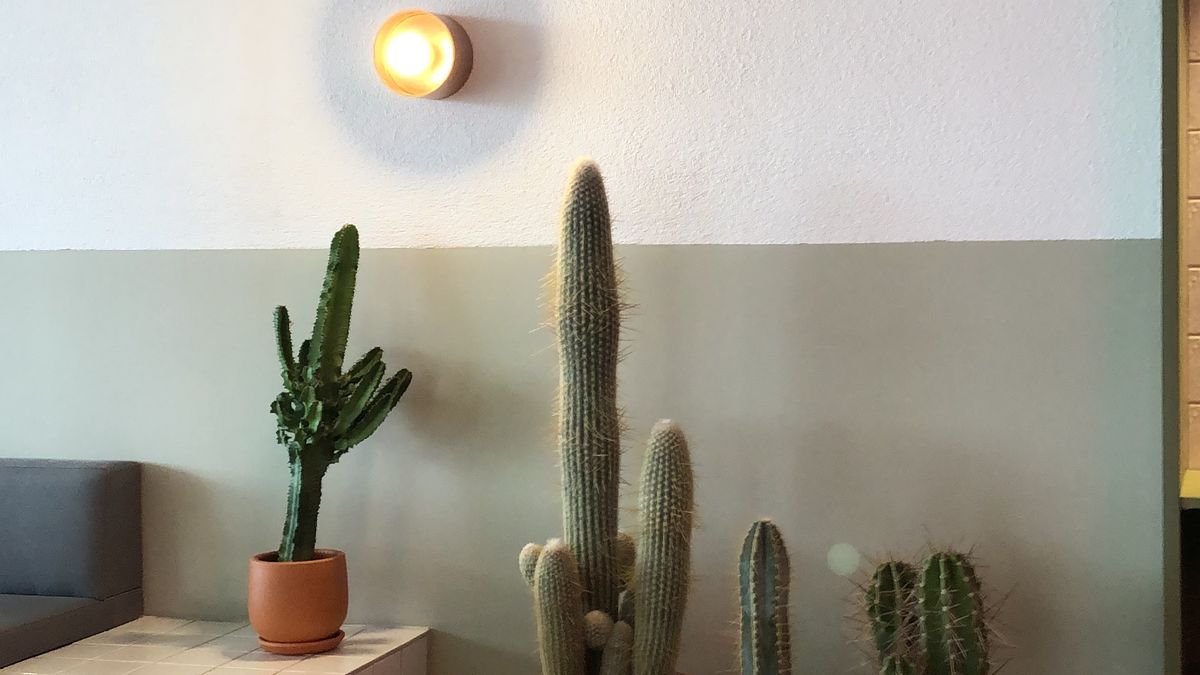 Les tendances de décoration intérieure féminine en 2026