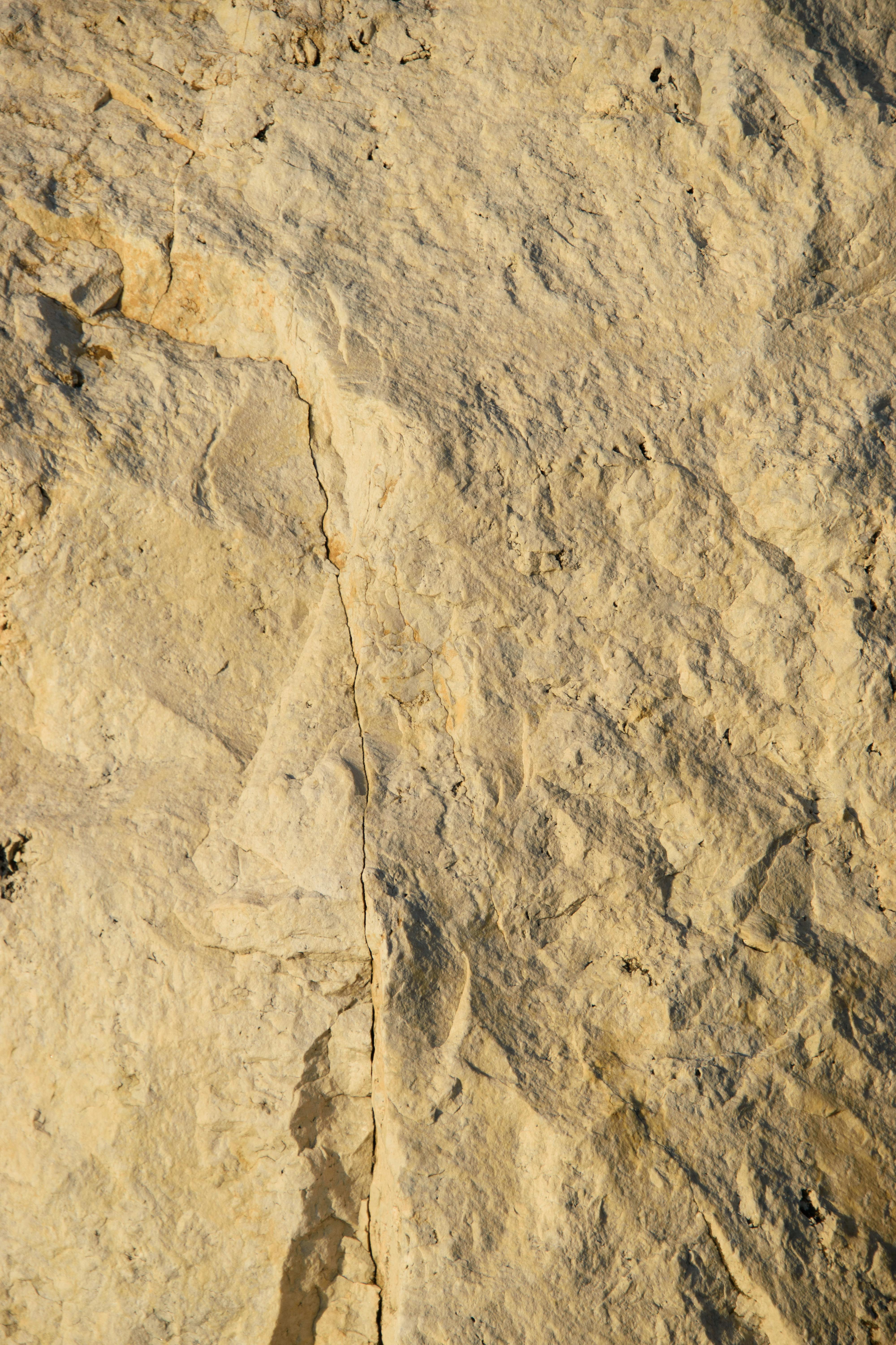 What can you take to increase brown fat?