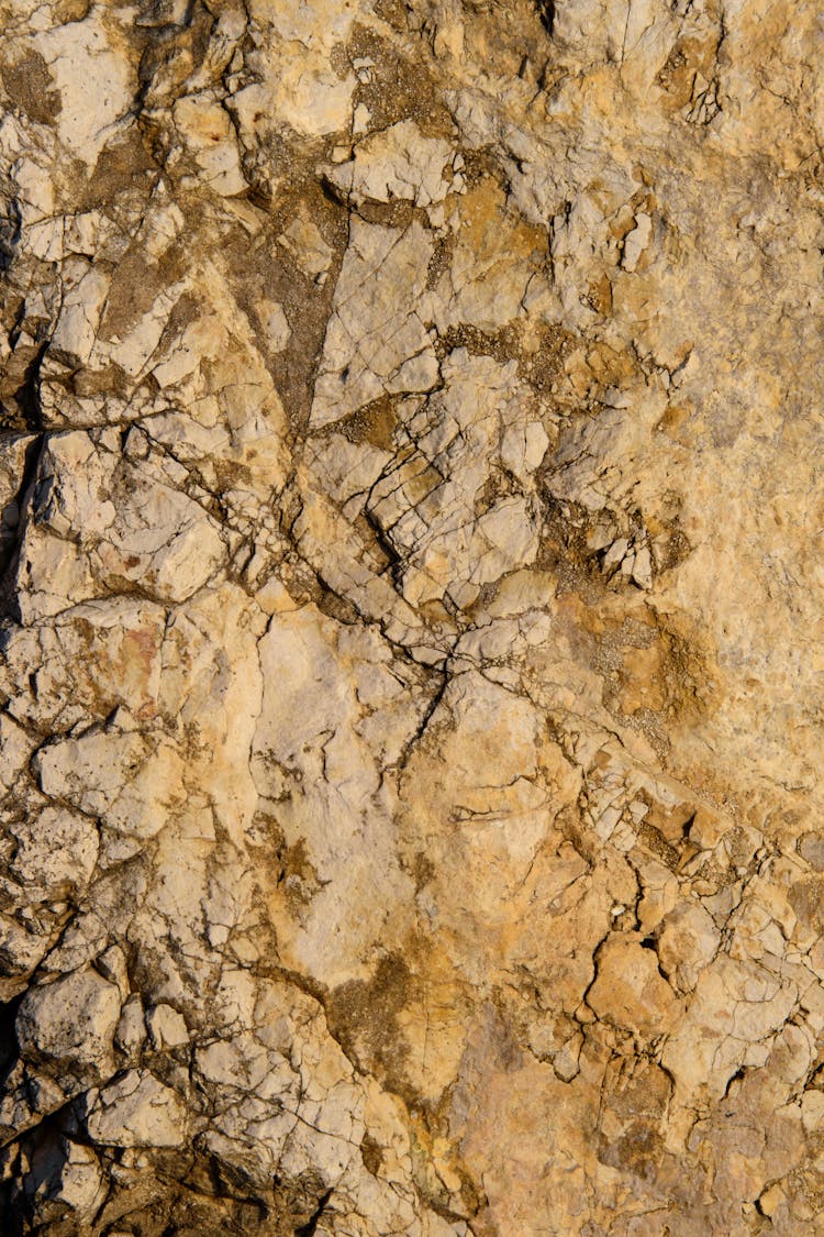 Rough Texture Of Rock