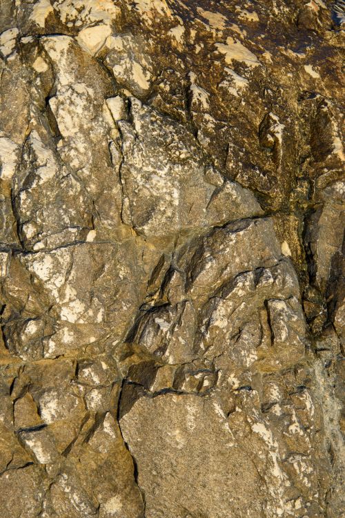 Free Detailed photo of a rock surface showcasing unique geological patterns and textures. Stock Photo