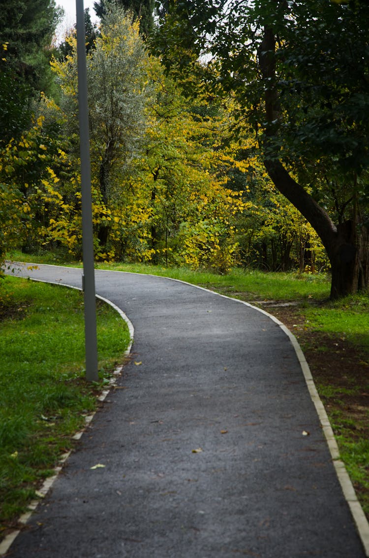 A Paved Pathway At A Park