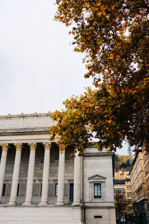 Free Elegant neoclassical architecture with autumn leaves in a vibrant urban setting. Stock Photo