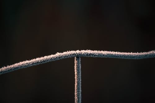Frost on Metal Wire 