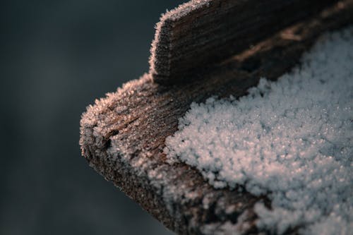 Kostenloses Stock Foto zu eis, gefroren, holzbrett