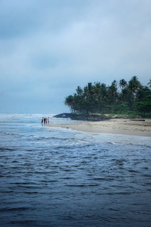 Sandy Beach and Palm Trees under Rain Clouds