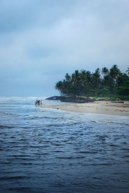 Free Quiet beach scene with palm trees and gentle waves, perfect for relaxation. Stock Photo