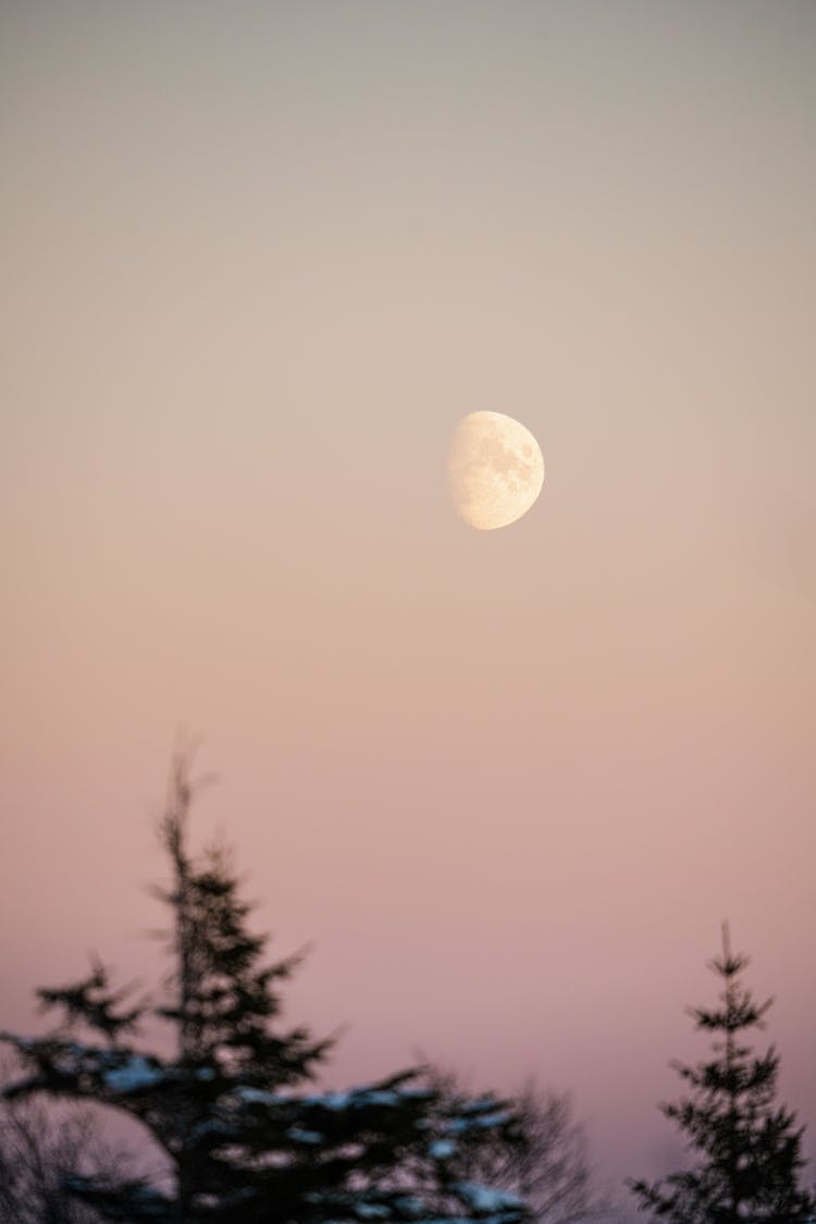 Moon At Dawn