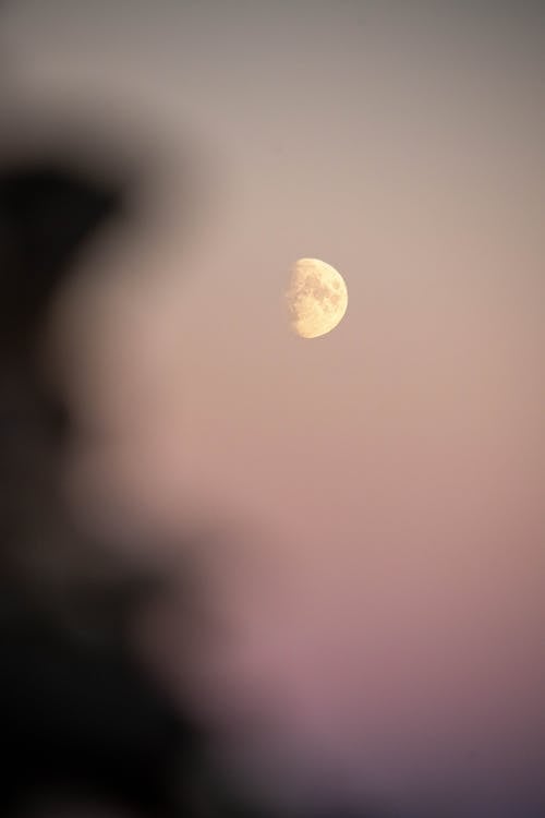 Gratis arkivbilde med halvmåne, himmel, luna