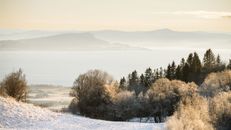 Idyllic winter scene with frosty trees overlooking a serene lake in Trondheim, Norway.