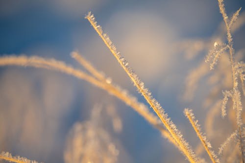 Gratis stockfoto met achtergrond, fabriek, ijs