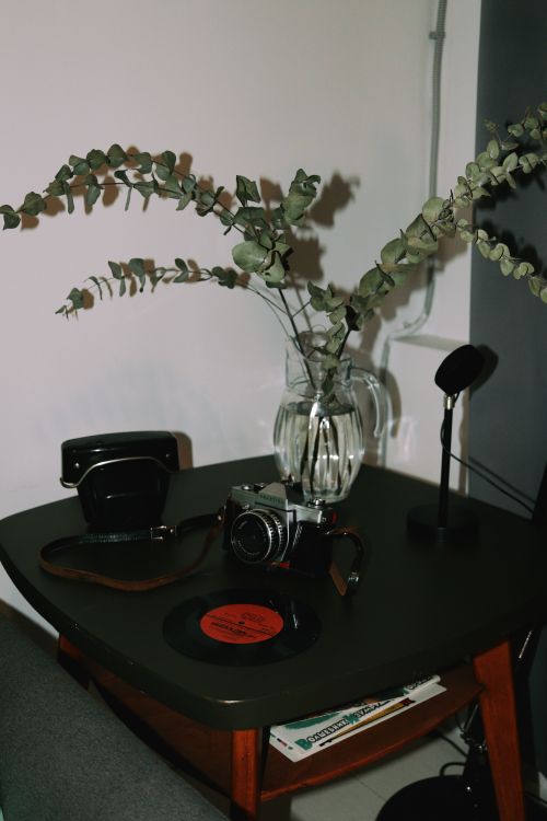 Free A nostalgic still life featuring a vintage camera, vinyl record, and eucalyptus. Stock Photo