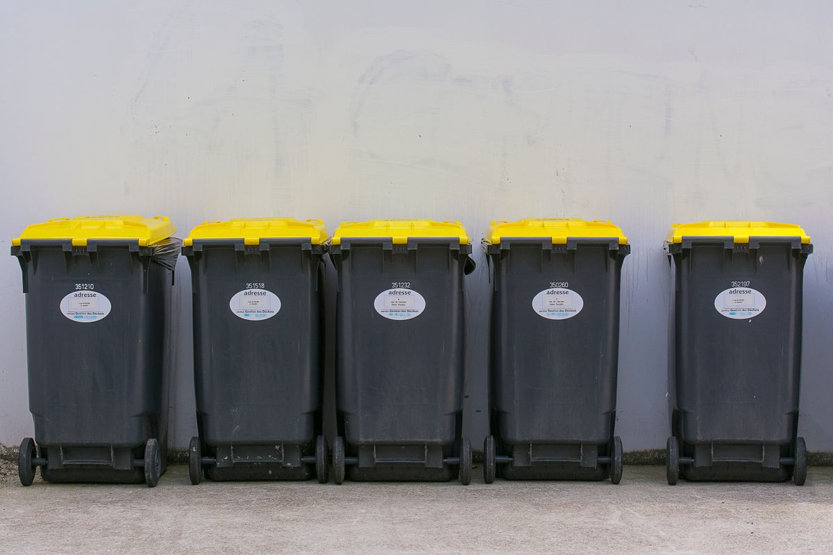 Trash bin cleaning service