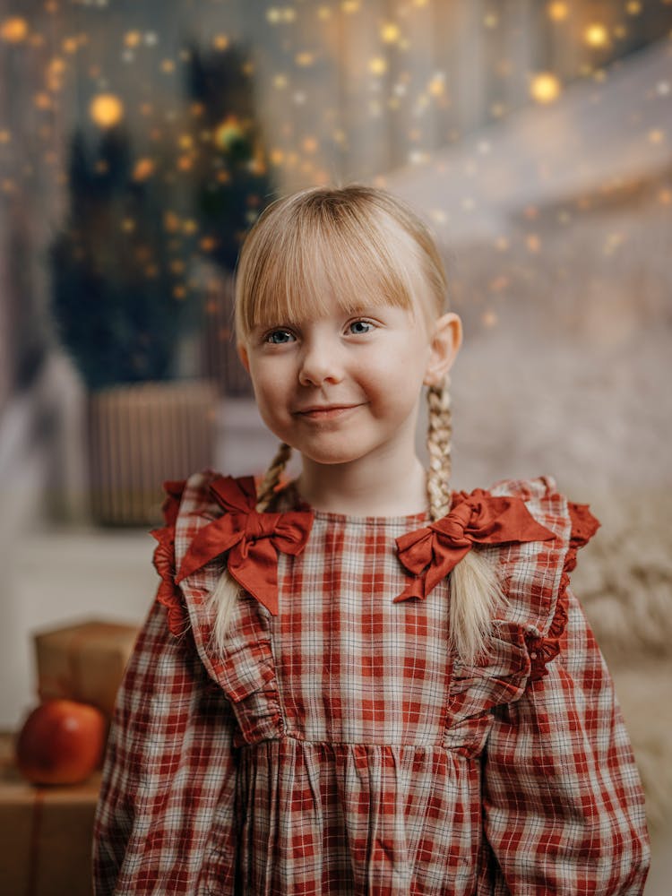 Little Girl On A Christmas Photoshoot 