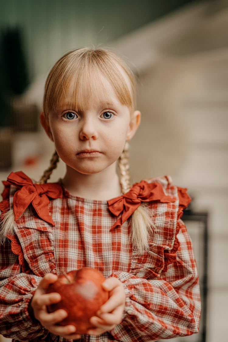 Little Girl On A Christmas Photoshoot 