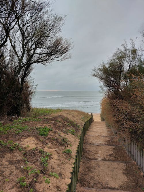 Path to Ocean on Sand Beach