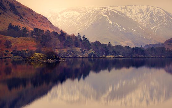 白雪皑皑的山峰和树木倒映在宁静的山间湖泊中，构成一幅宁静的自然景观