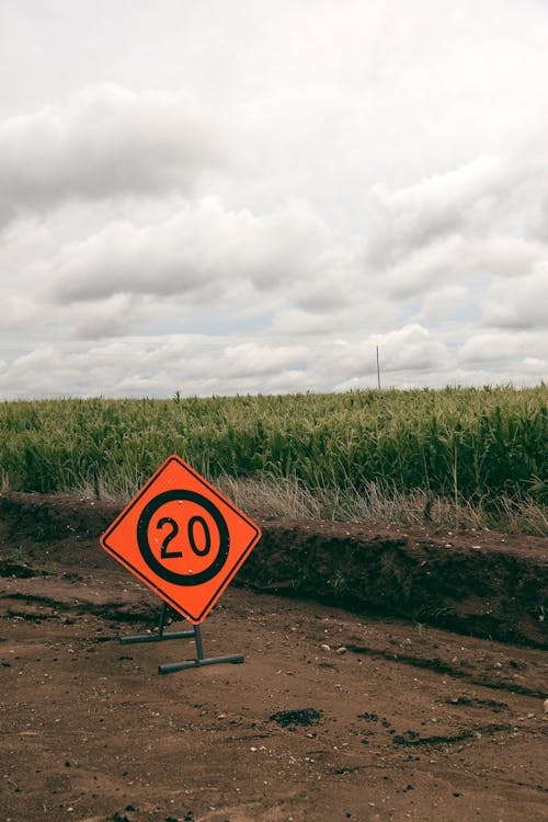 Speed Limit Sign on Dirt Road