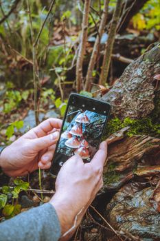 A person taking a photo of mushrooms in the forest using a smartphone.