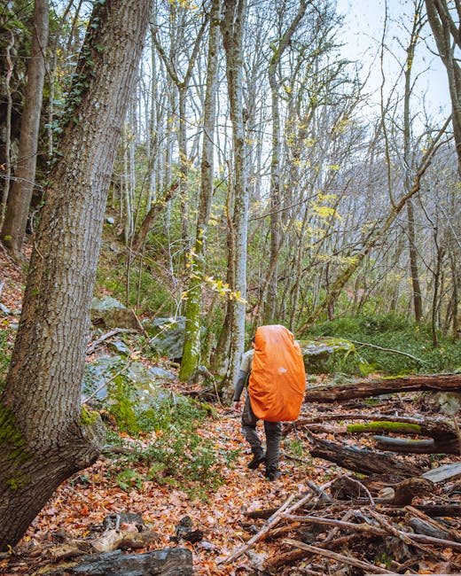 Activities Beyond Wildlife: More to Explore Activities Beyond Wildlife: More to Explore
