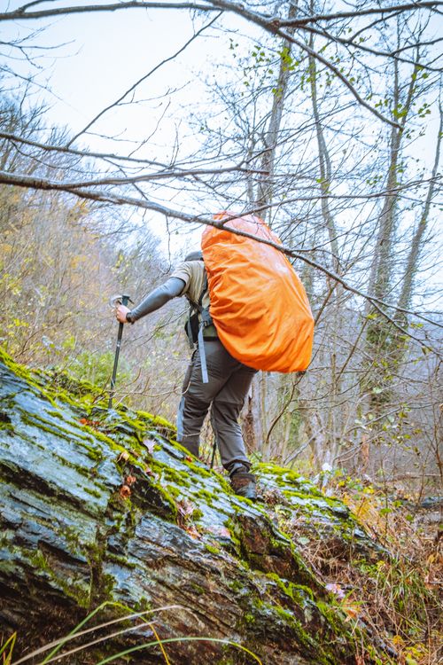 Free A lone hiker with a backpack climbing a mossy rock in a fall forest. Stock Photo