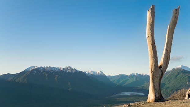 Dead tree stands against the stunning Andes mountains and valley in Chaitén, Chile.