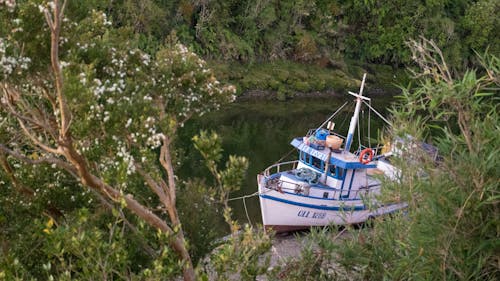 Foto profissional grátis de água, barco, beira do lago