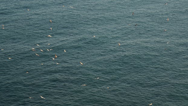 Image by Daria Voronkov