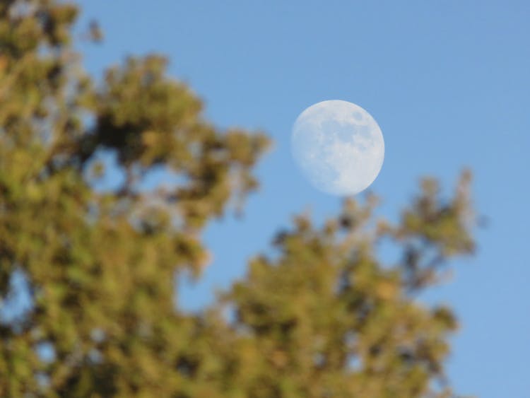 Moon Seen During The Day