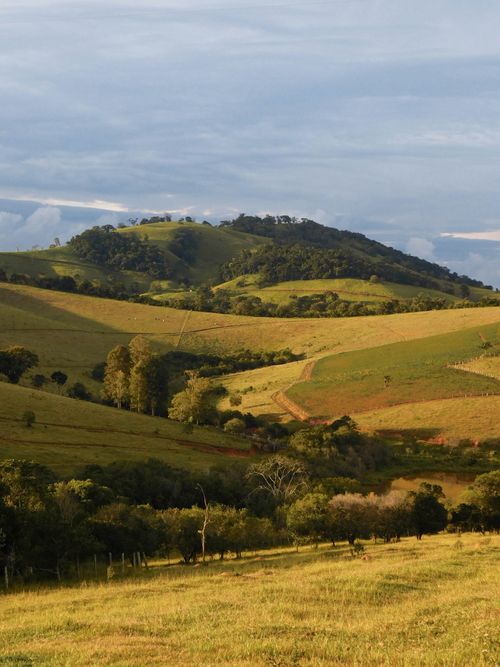 Free Vibrant hillside landscape in Paraisópolis, Brazil showcasing lush greenery and rolling hills. Stock Photo