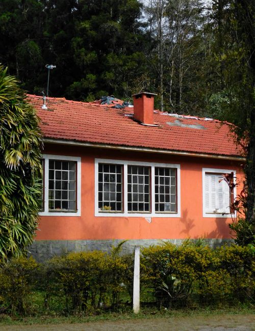 Free Charming bungalow with red roof surrounded by lush greenery and vibrant plants. Stock Photo