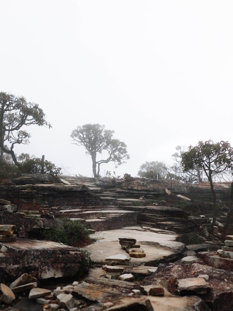 Rocky Amazing Landscape