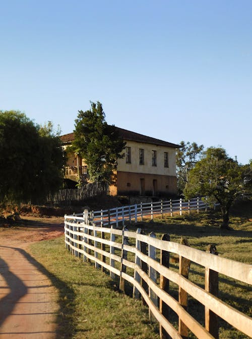 Farmhouse in Summer