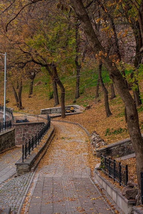 下落, 公園, 垂直拍摄 的 免费素材图片