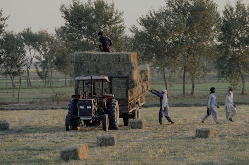 Základová fotografie zdarma na téma auto, farma, hřiště