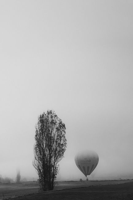 Captivating black and white image of a hot air balloon in a foggy rural landscape.