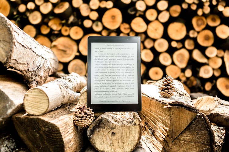 Black E-book Reader On Brown Tree Logs