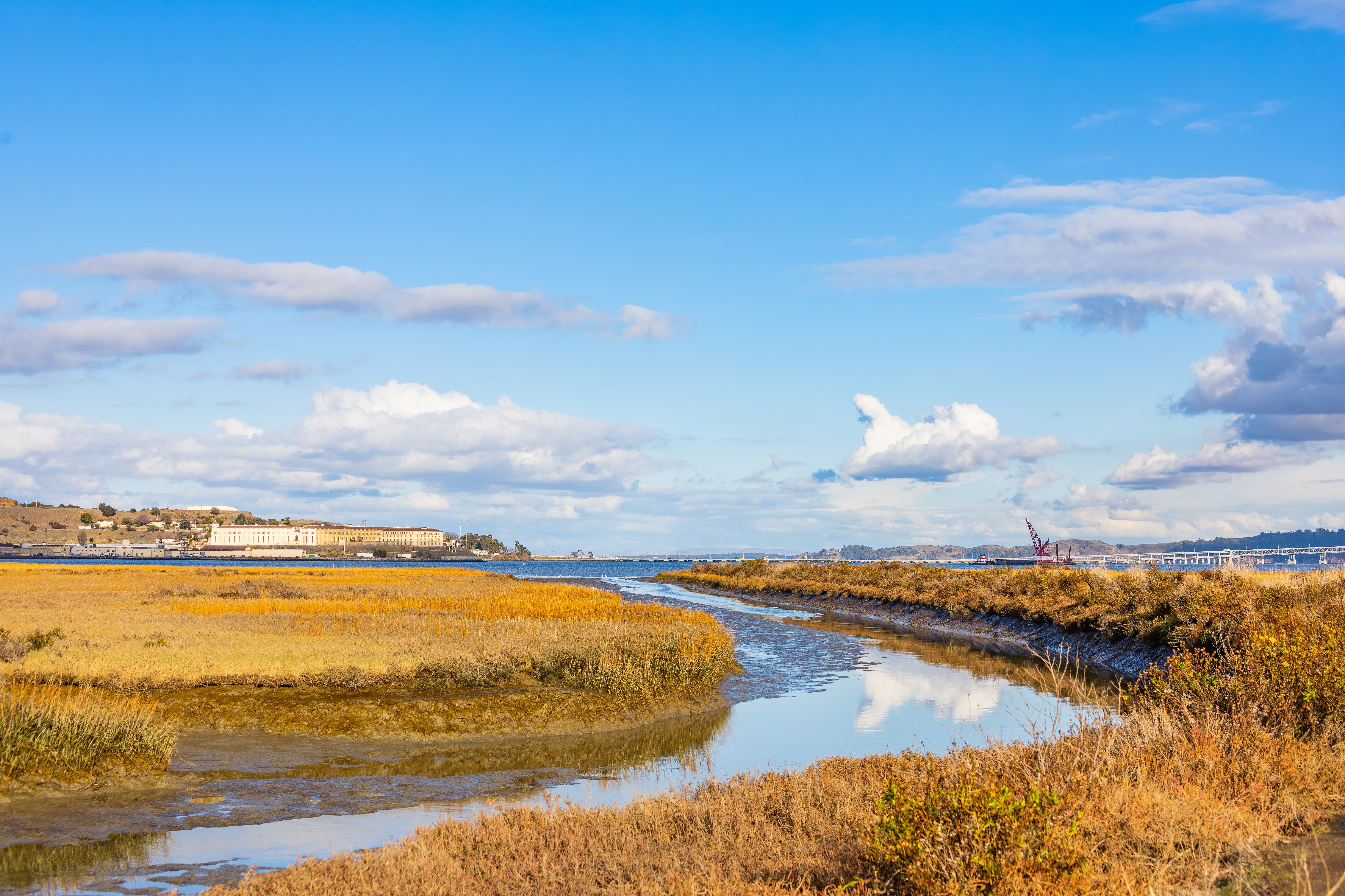 estuary landscape