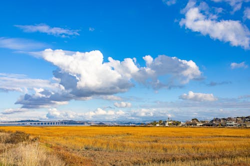 View of a Brown Grass Field Under the Cloudy Sky 