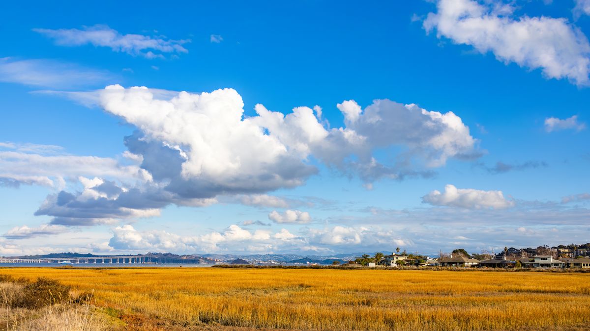 Contest Alerts in Chula Vista, CA: Updated 2026 List for Local Winners