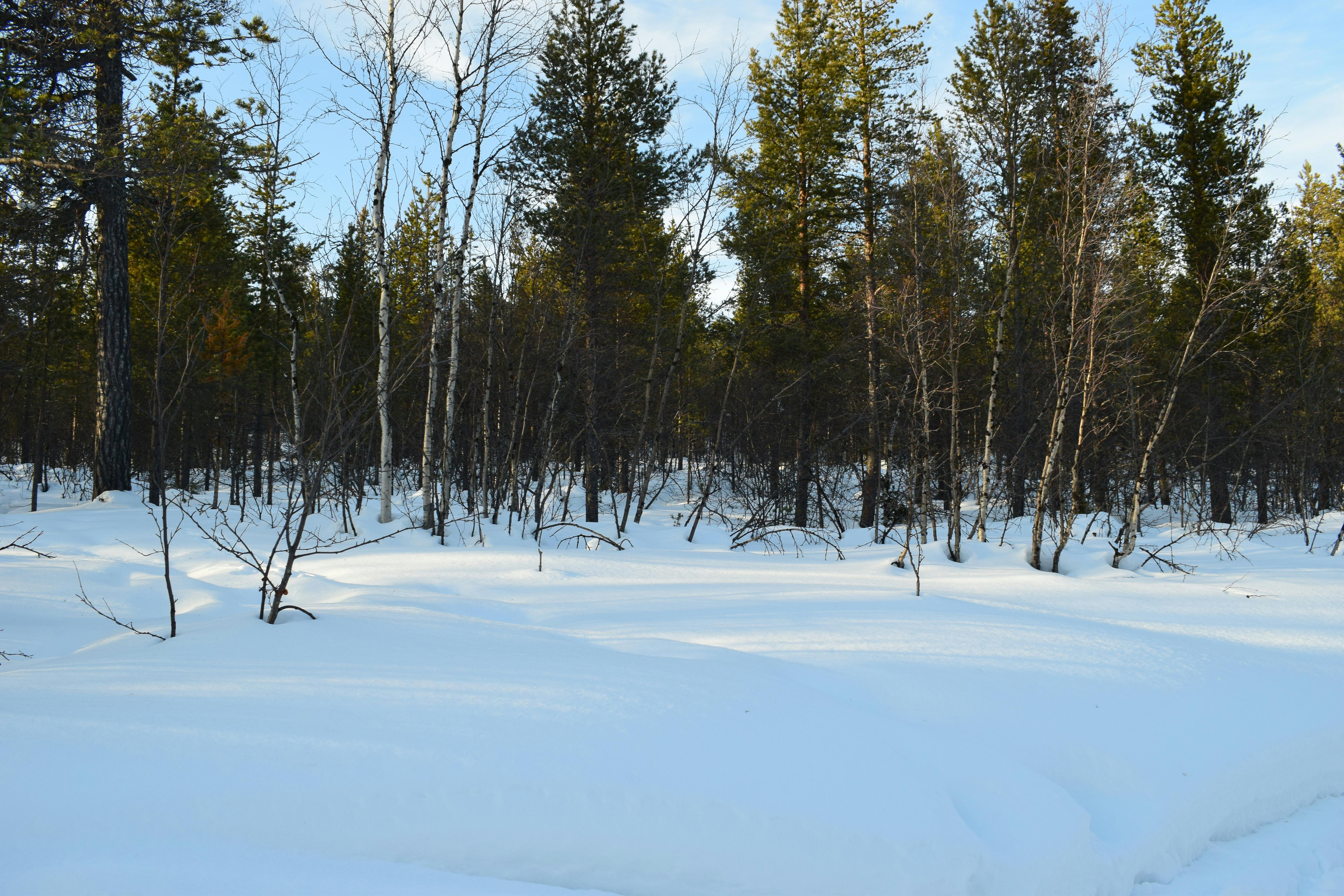 办公室内工作人员正在审查文件