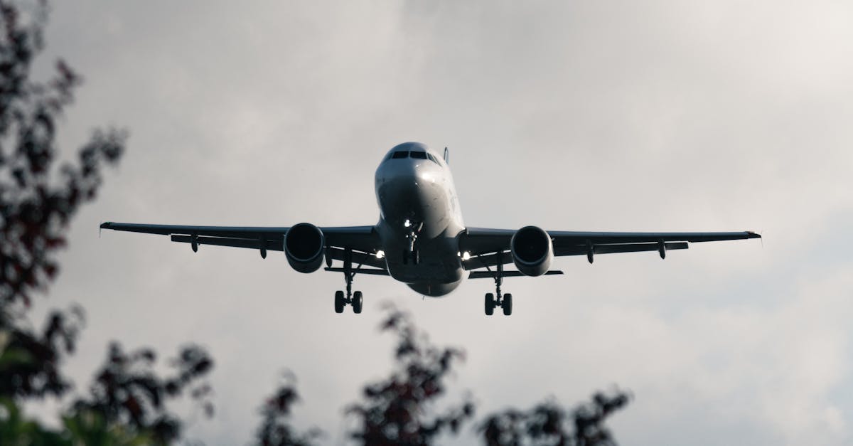 星宇航空台北總部喬遷 正式進駐巨蛋國際中心