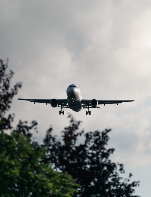 Free A commercial airplane approaches landing amidst cloudy skies and silhouetted trees. Stock Photo