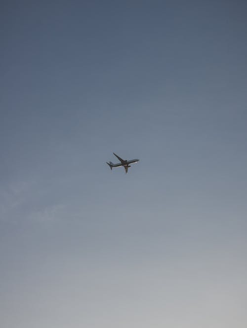 Ingyenes stockfotó ég, repülés, repülő témában