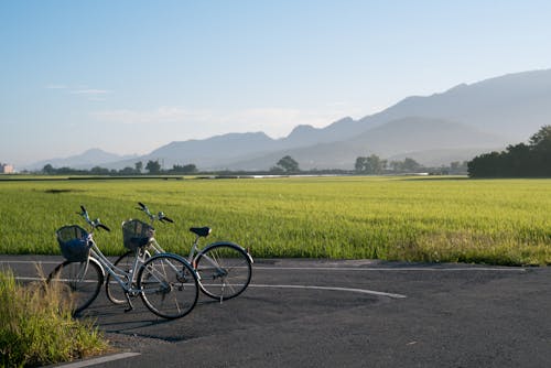 Два серых велосипедных парка на дороге рядом с травяным полем