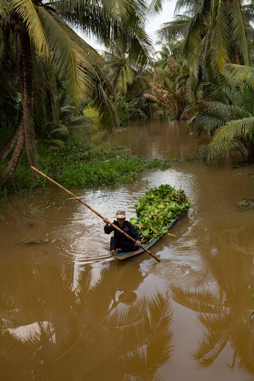 Man Wearing a Hat Transporting Green Plants on a Pond